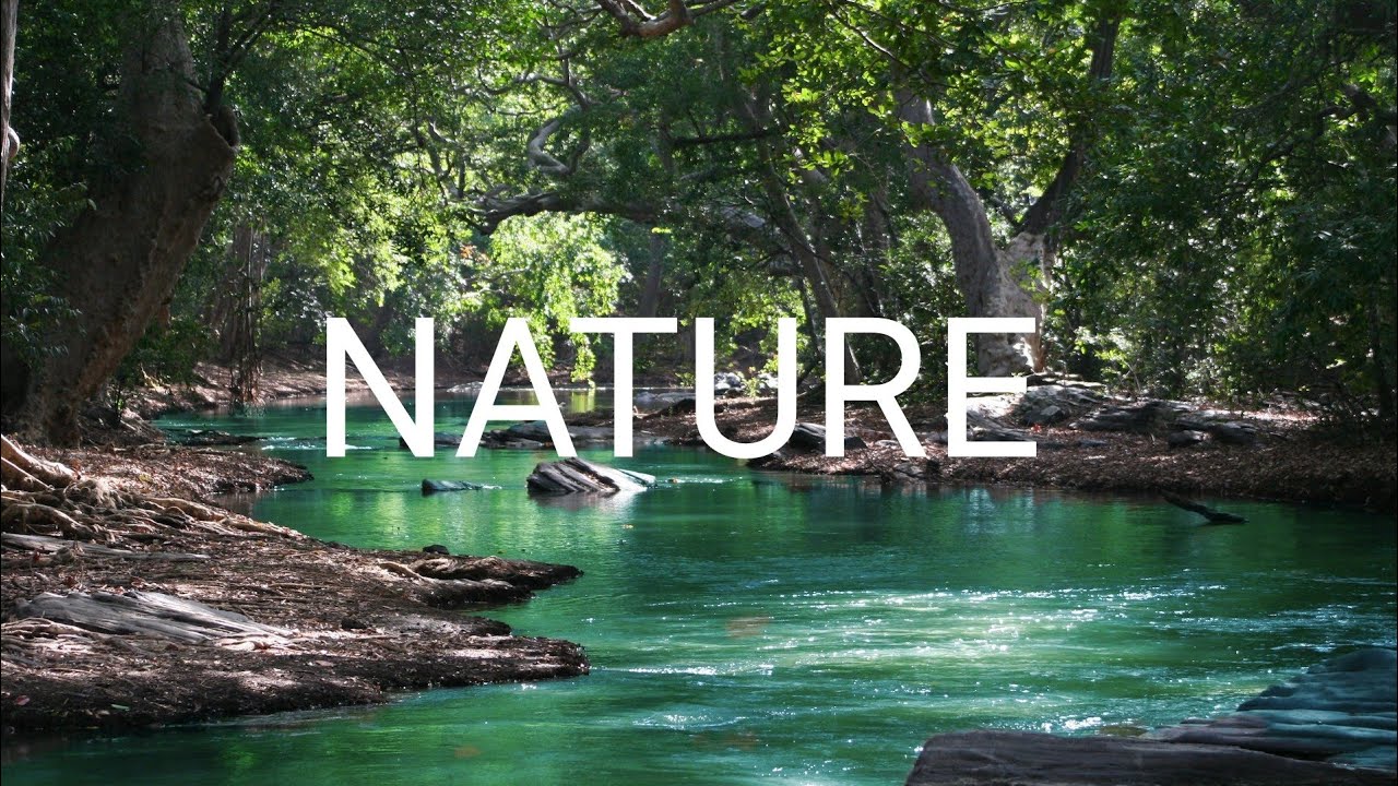 Relax Music, Stress relief audio sleep free #meditation #relaxing #sleepmusic