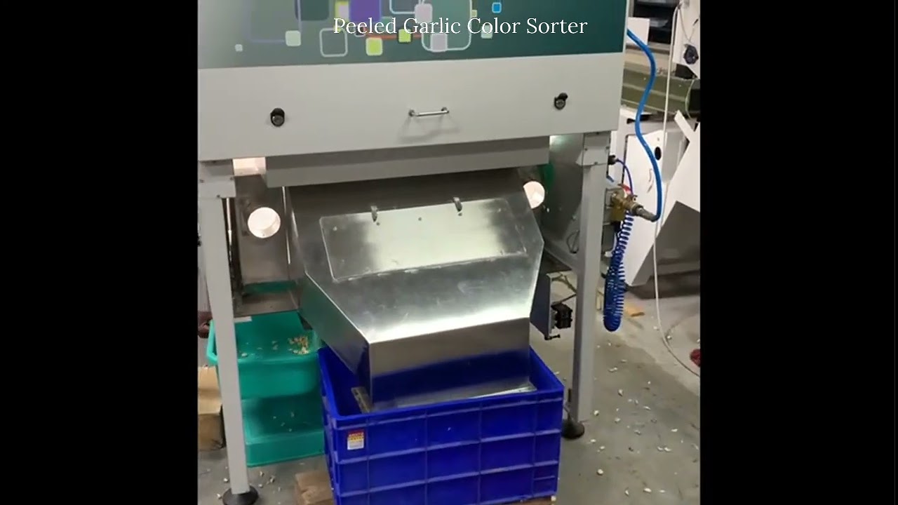✅Peeled Garlic Color Sorter Machine / 📞 Contact Number @ 9994399996 to get Machine Details & Price