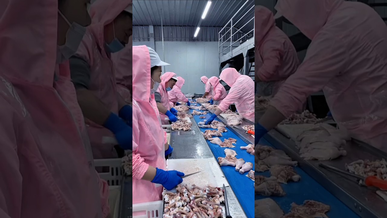 Как обрабатывают и упаковывают курицу на китайских фабриках #InsideTheFactory