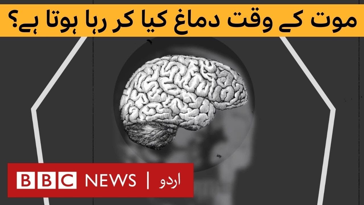 What happens to your brain when you die? - BBC URDU