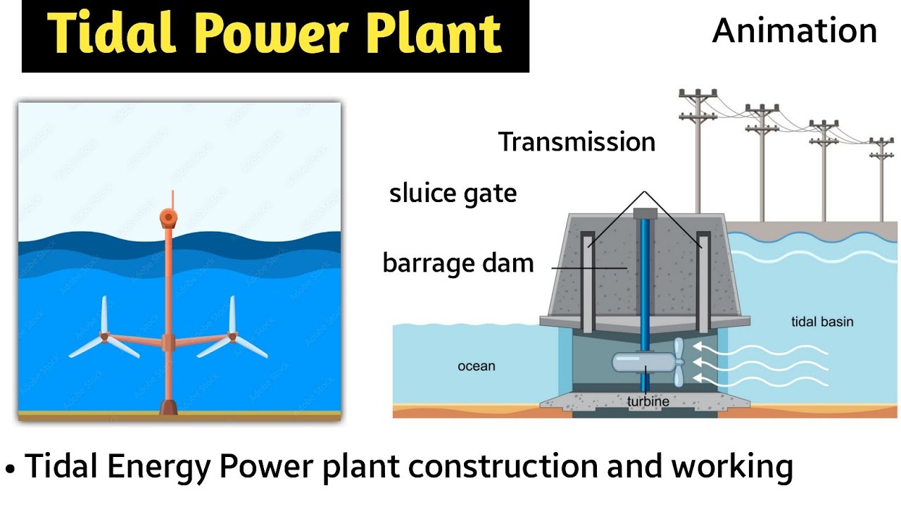 tidal energy | tidal power plant in hindi | working | barrage type | double basin renewable energy