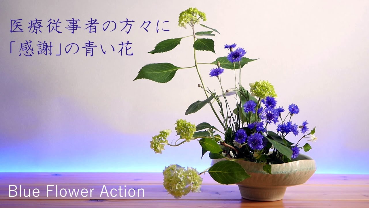 Japanese ikebana using blue flowers.Blue Flower Action!
