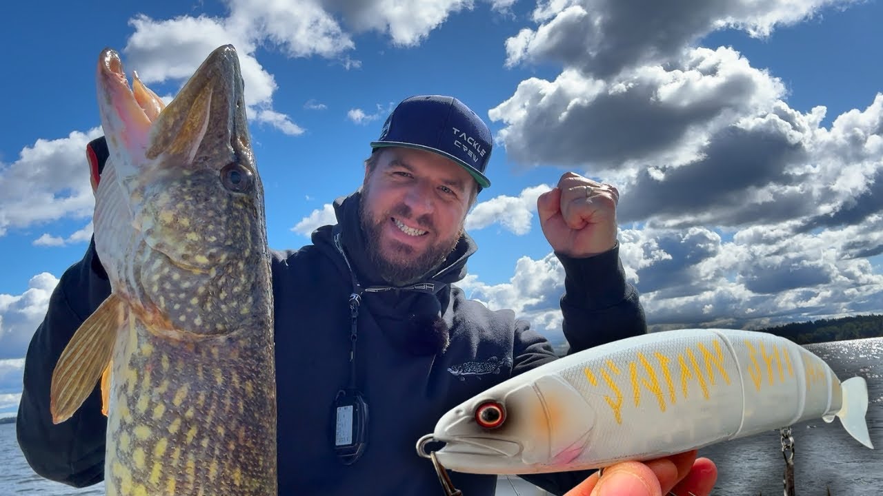 Gäddfiske med STORA Swimbaits