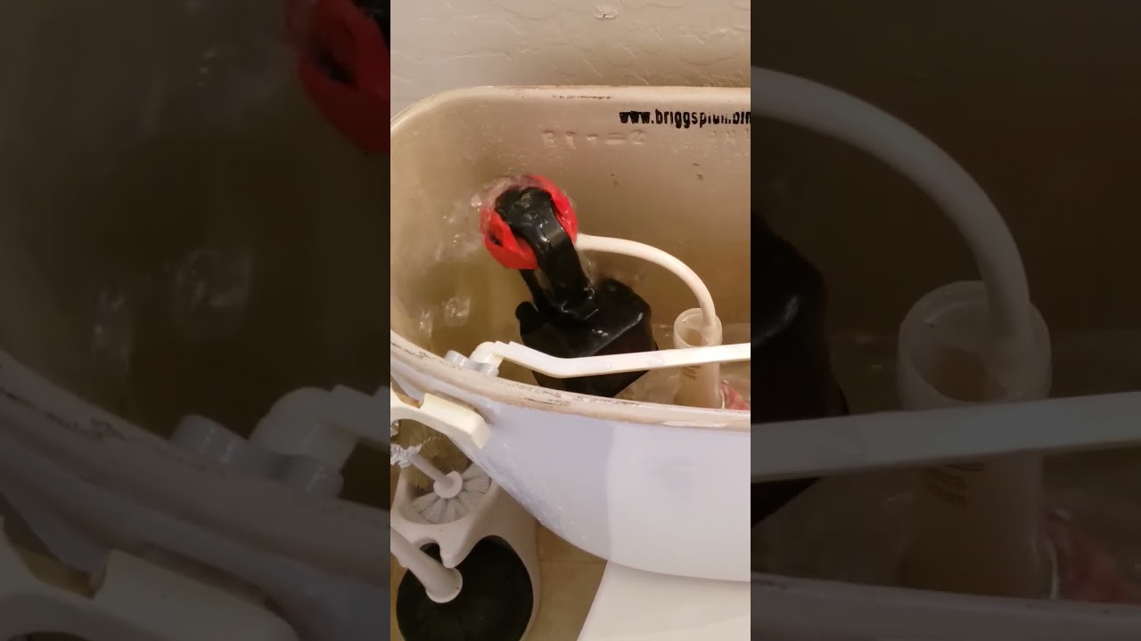 How to spot a toilet tank water leak at the fill valve. #shorts