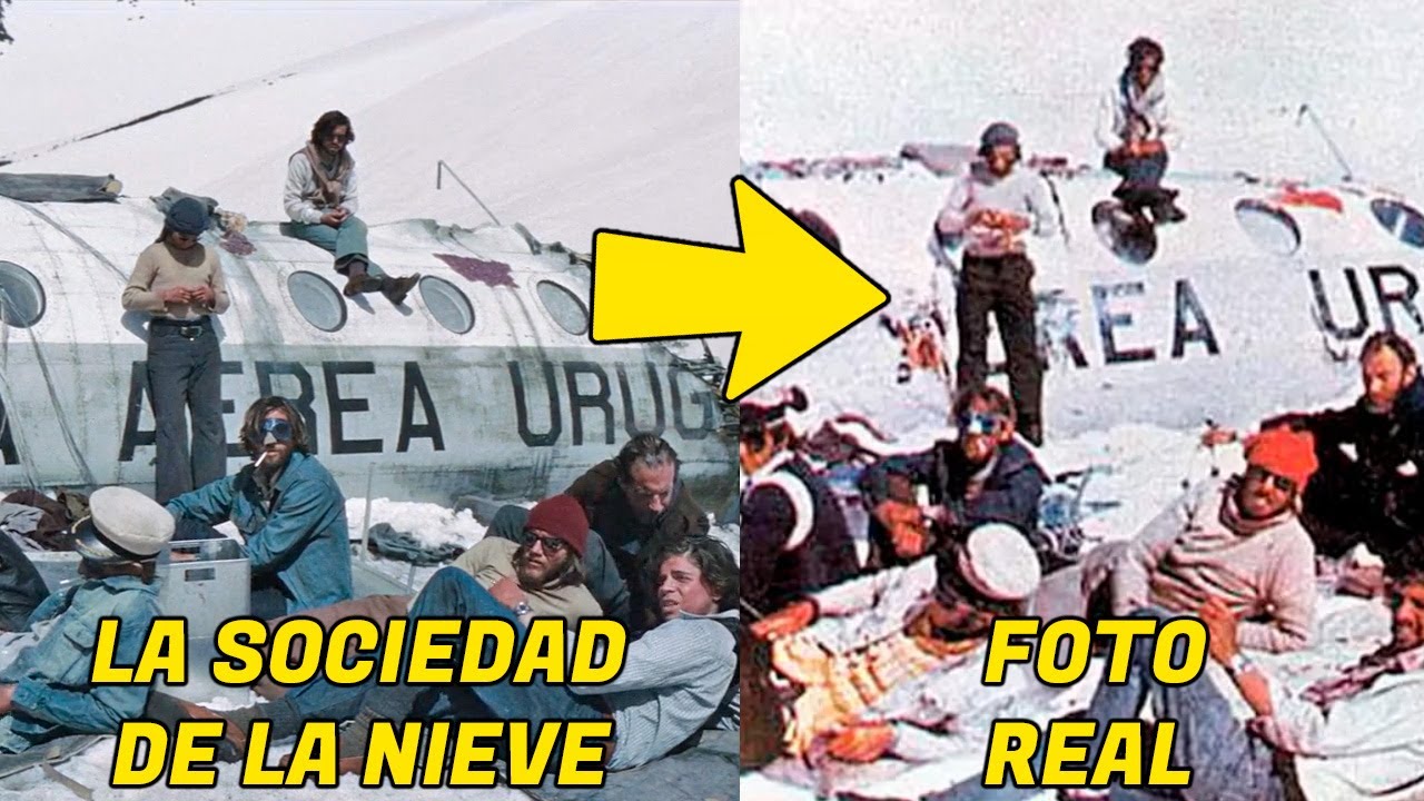 20 CURIOSIDADES IMPRESIONANTES DE LA SOCIEDAD DE LA NIEVE