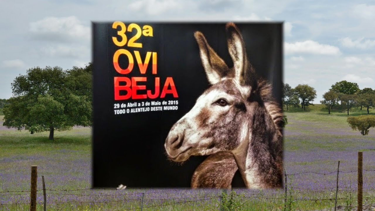 Ovibeja 2015