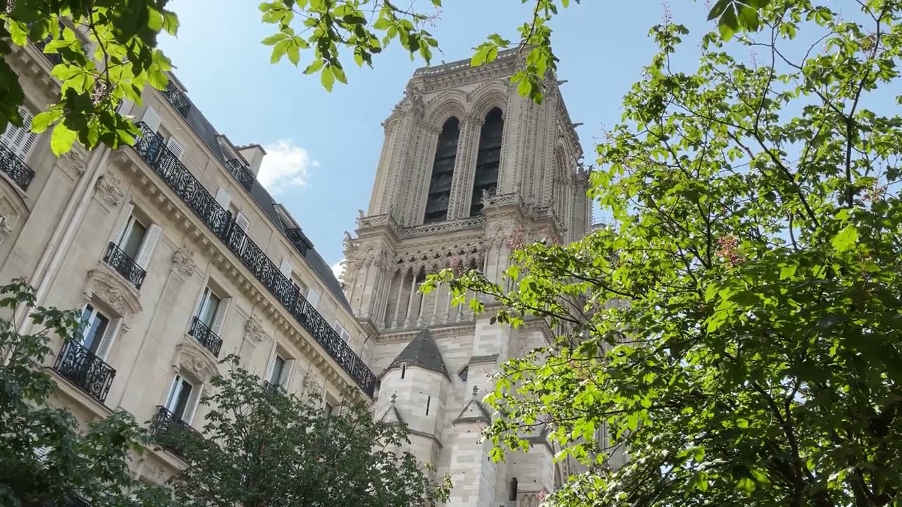 Die Glocken von Notre Dame Paris