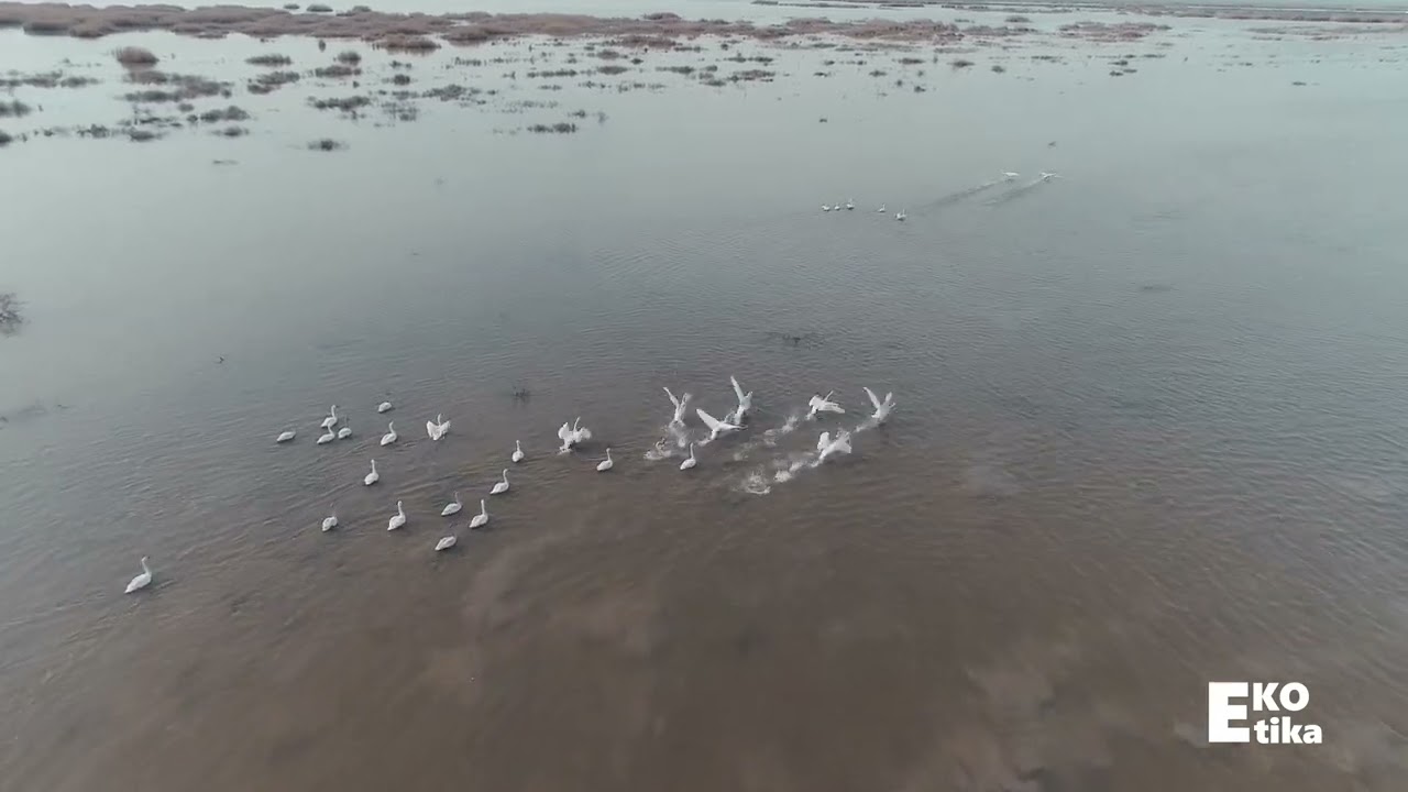 Ağgöl Milli Parkı