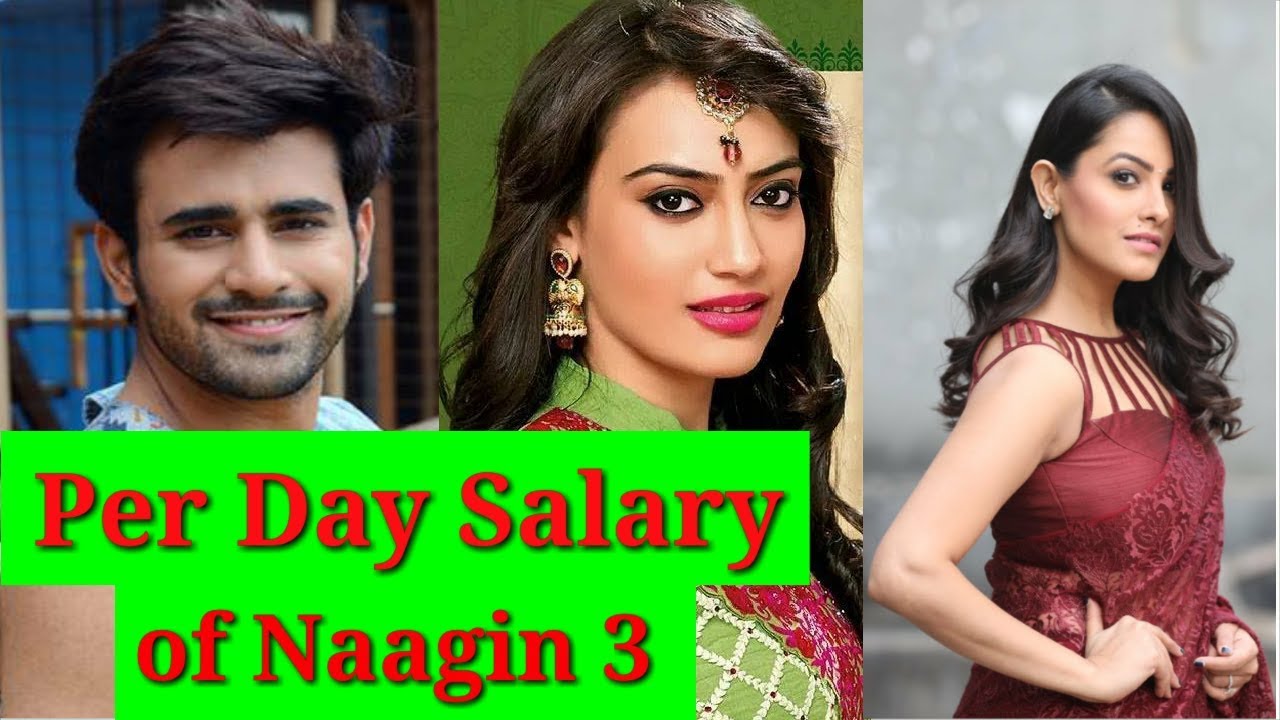 Per Day Salary of Naagin Season 3 Casts