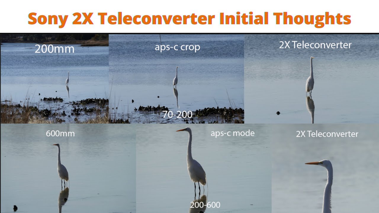 Sony 2X Teleconverter Initial Thoughts