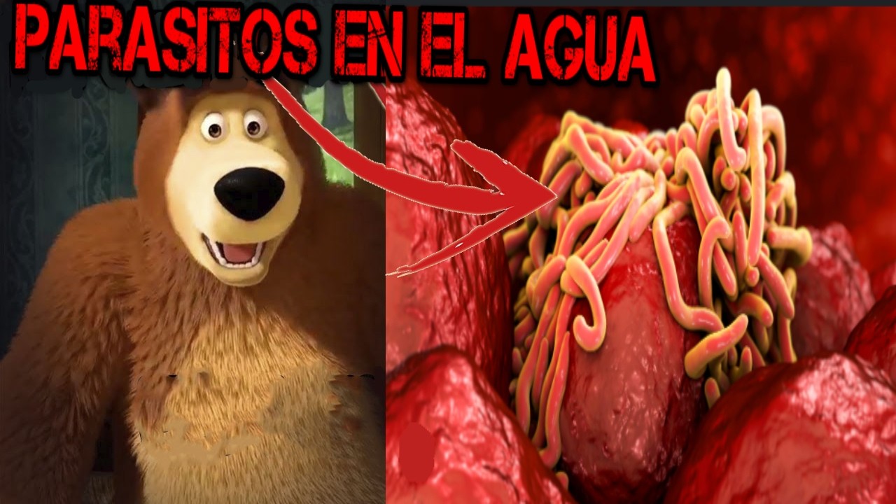Creepypasta masha y oso ESA NO ES MASHA, ES UN PARASITO