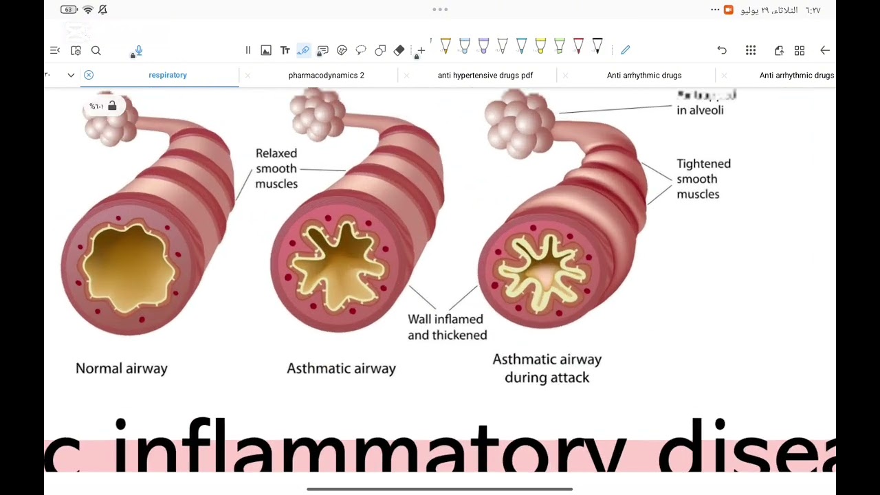 Pharmacology risparatoy system Lec 1 introduction 