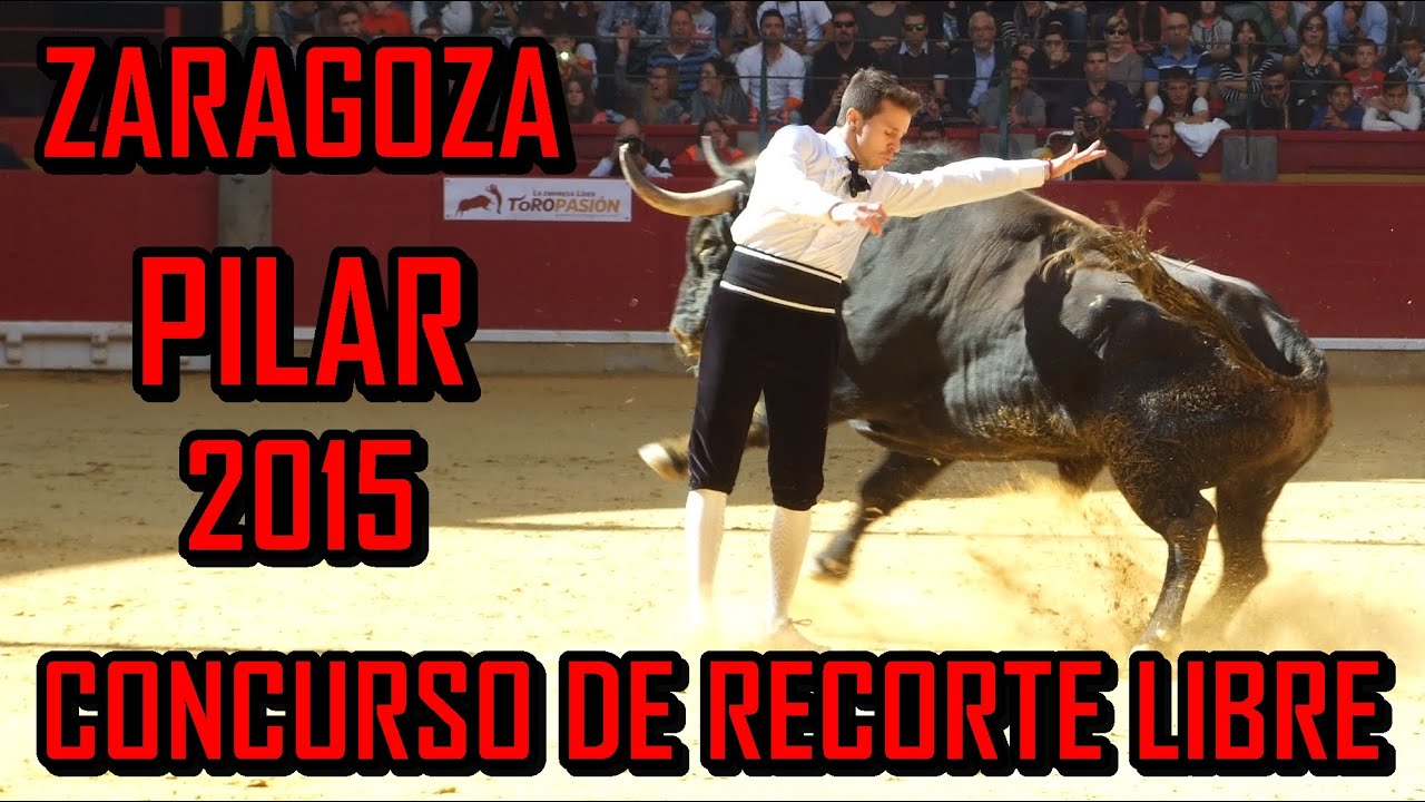 🔴🐂 CONCURSO DE RECORTE LIBRE DEL PILAR 2015