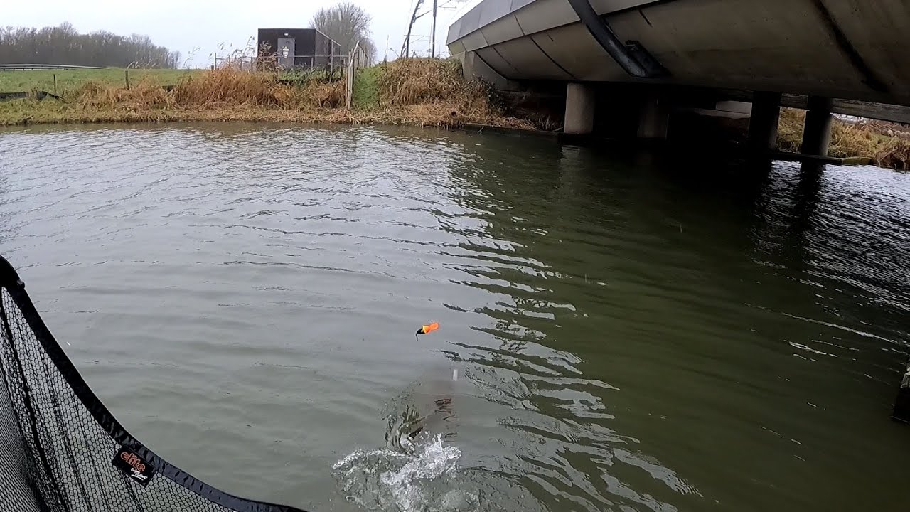 Doodaas onder de dobber: Herfst Snoek