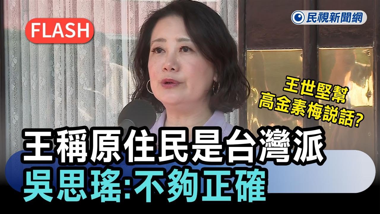 快新聞／王世堅替高金素梅說話？稱原住民是忠實台灣派　吳思瑤：不夠正確－民視新聞