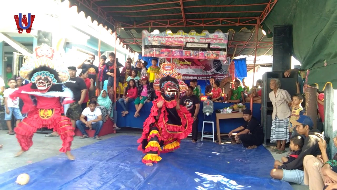 MAYONGGO SETO Tulungagung - Kiprah KUCINGAN Ndadi
