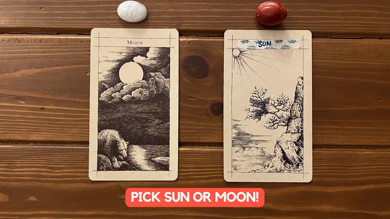 What Is Your Spirit Guide Urgently Trying To Tell You! | Timeless Reading