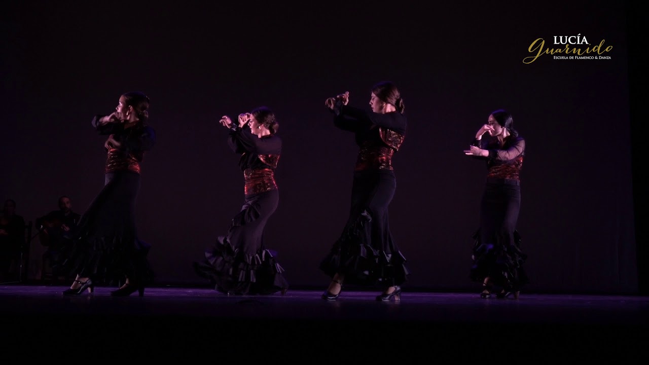 FLAMENCO INTERMEDIO 2 SEGUIRIYA