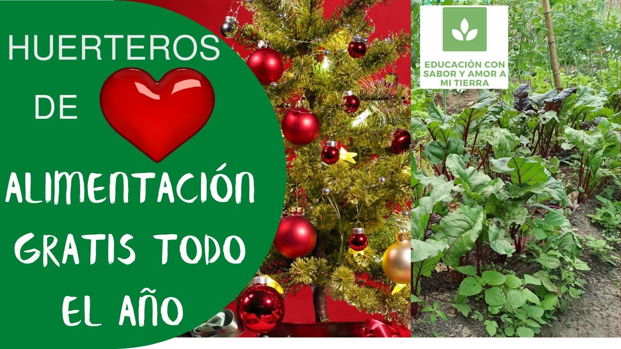 MILAGRO VERDE, SELVAS DE COMIDA, ALIMENTACIÓN GRATIS TODO EL AÑO