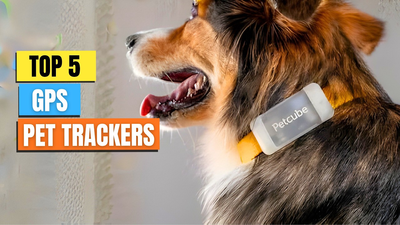 The 5 BEST GPS Pet Trackers That Actually Work &ndash; Find Lost Pets in Seconds