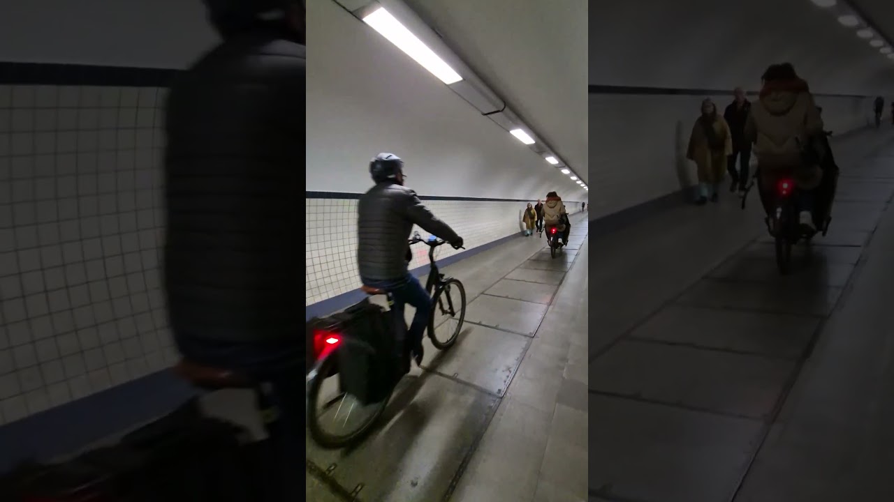 Lijnbus 85 Sint-Gillis-Waas to Antwerp