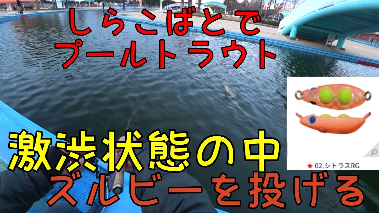 【しらこばと水上公園】25/12/27　ズルピーを買ったので釣れるのか試してみるが・・【ゆっくり釣行動画】