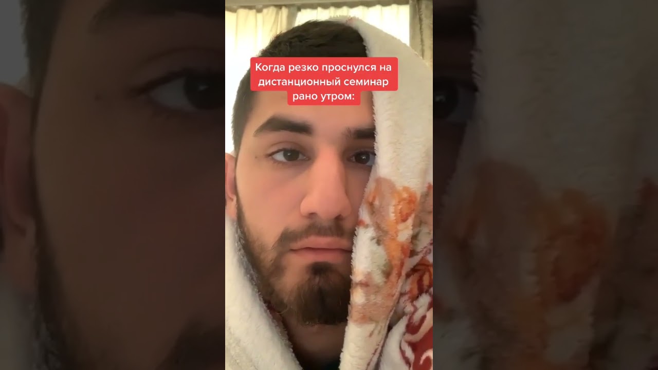 Pahlava Show TikTok Videos