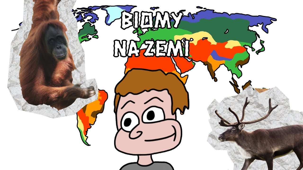 7 Biomů, kter&eacute; mus&iacute;te zn&aacute;t! Podneb&iacute; na Zemi