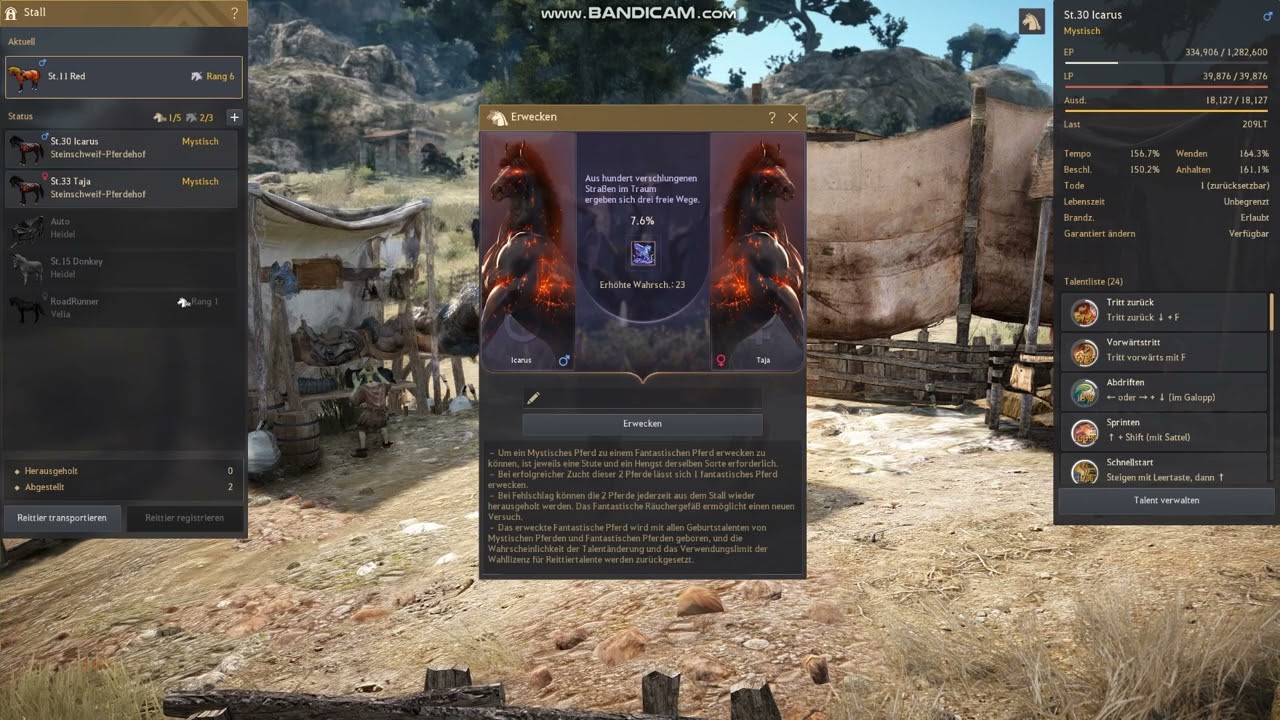 Black Desert Online T 10 Doom
