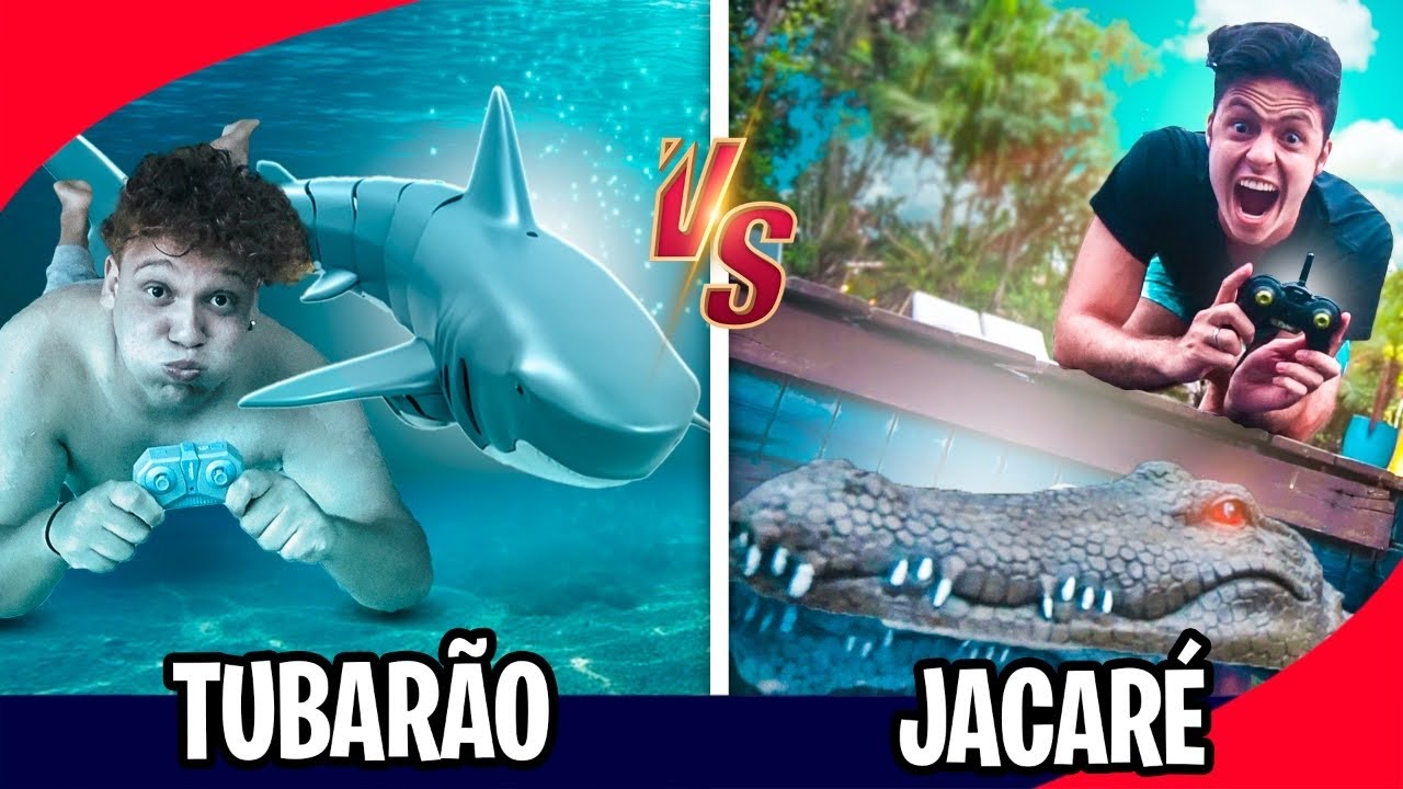 JACARÉ DE CONTROLE REMOTO X TUBARÃO DE CONTROLE REMOTO