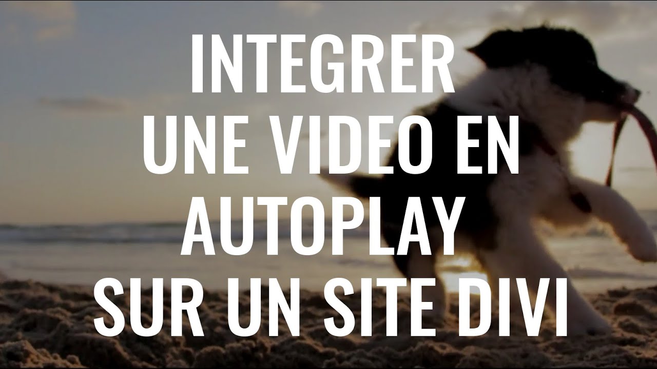 [TUTO] Intégrer une vidéo en autoplay sur DIVI