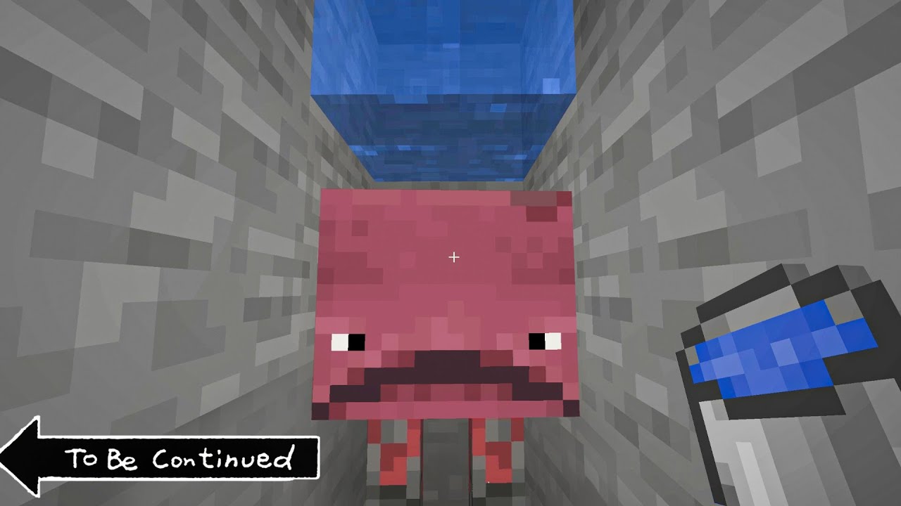 TO BE CONTINUED MINECRAFT (1.16 EDITION)