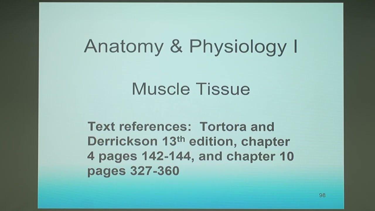 A&P 1 Joint & Skeletal Muscle 2.3