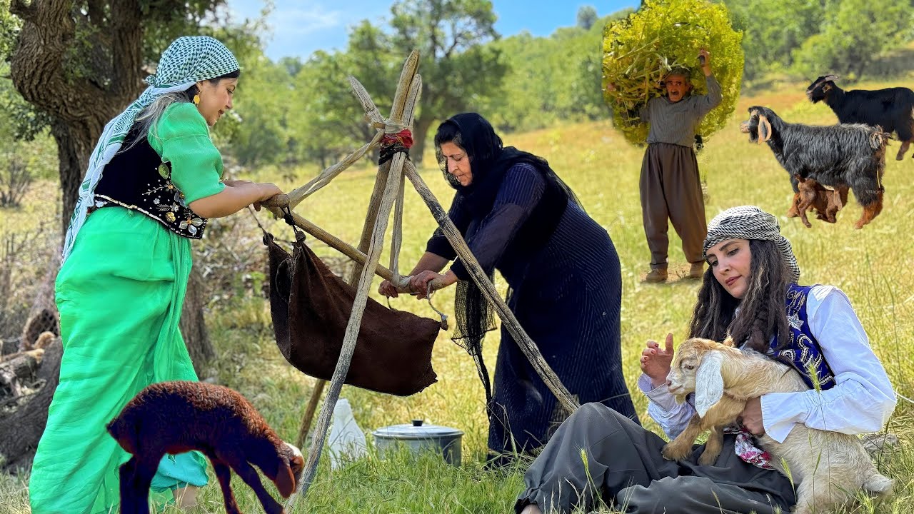Iran Village Life Cooking on a Beautiful Spring Day | Iran Nomadic Life