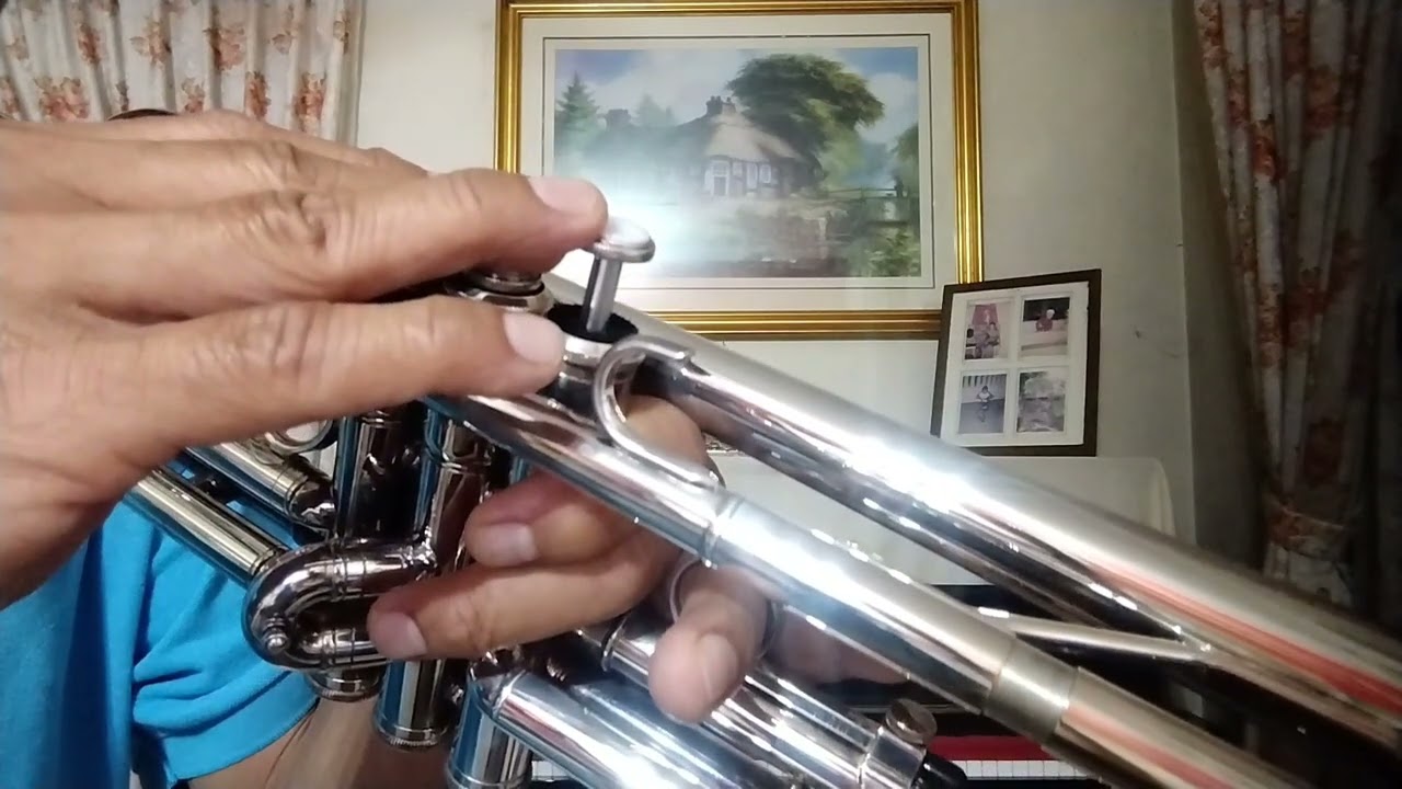 Spanish Eyes Engelbert Humperdinck trumpet cover