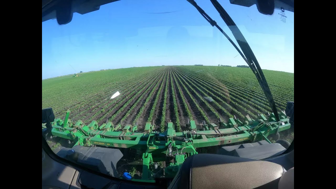 Using a Camera Guidance System Cultivating Organic Soybeans!