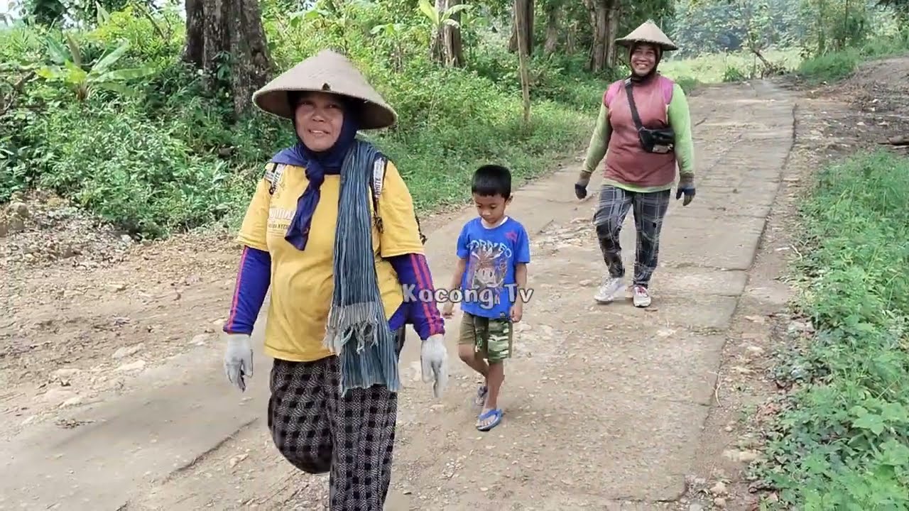 Beli Kopi Di Tawarin Susu ,Warung Sendirian Di Tengah Hutan  5@ RB Bisa Pilih_Pilih Empluk !