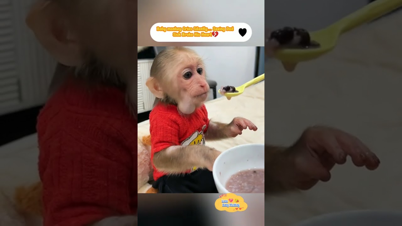 Baby mobkey love daddy 😙 