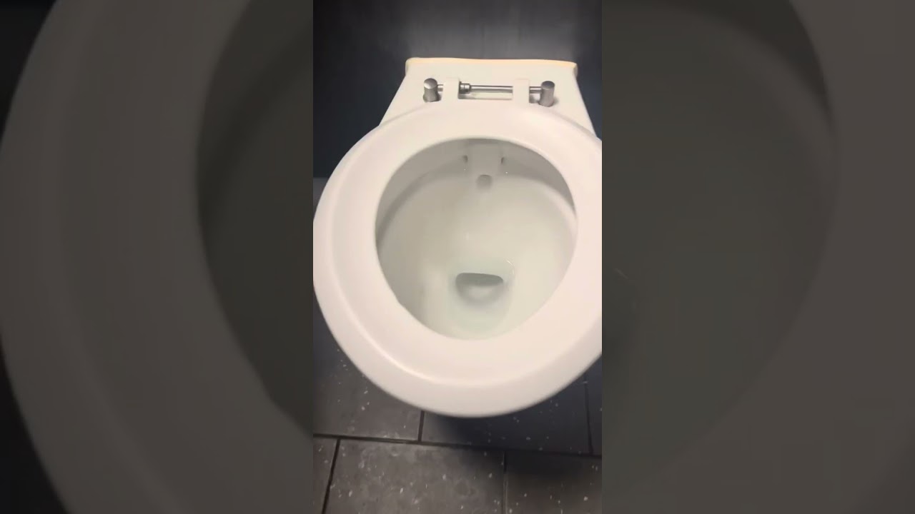 LLCCF DVS with AS C21 + AS Contour pan , Tesco , Shrewsbury (Male Toilet)