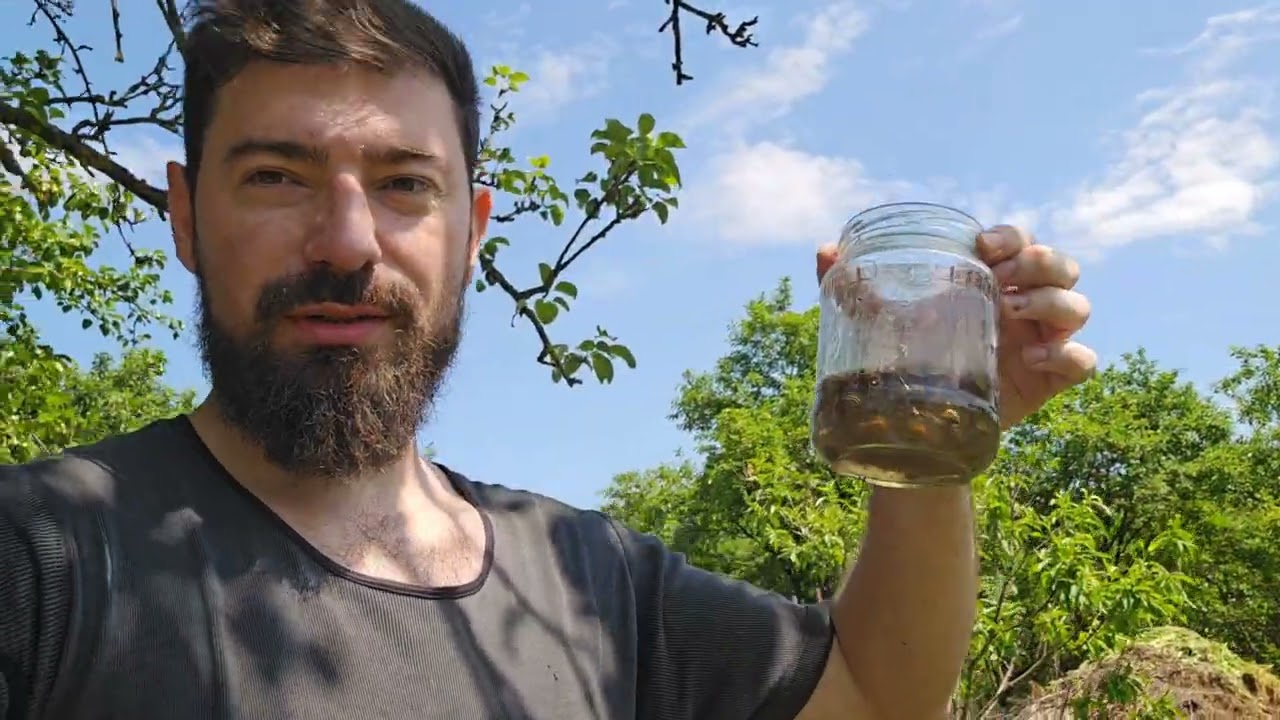 Ce presupune o grădină bio și prezentarea șeptelului