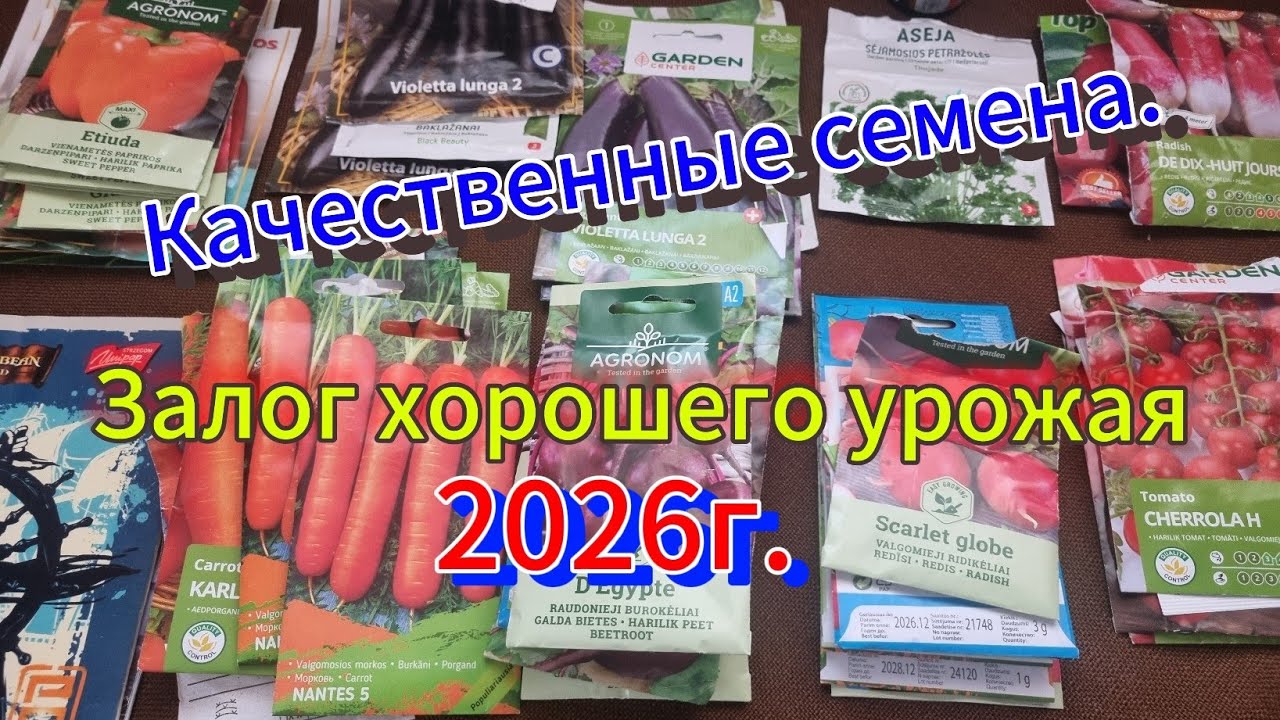 Для хорошего урожая,делаем ревизию семян овощей.