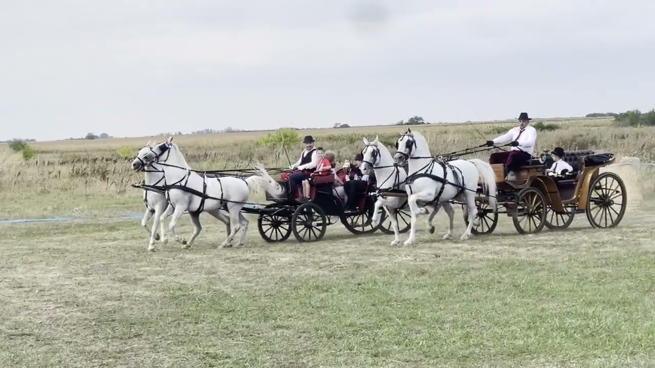 17 Fijakerijada Stapar 2025 #1