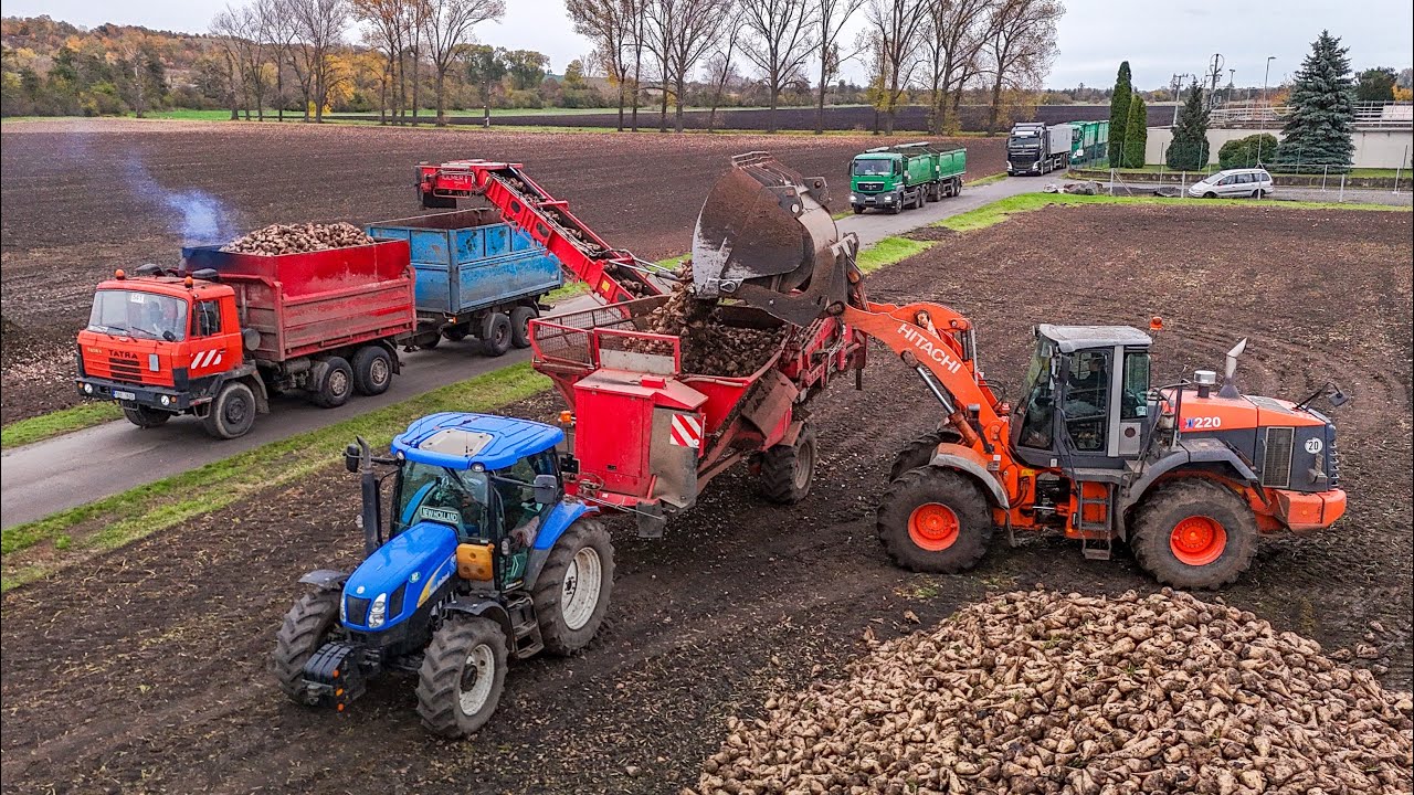 Nakládka cukrové řepy 2025 | New Holand T6020 + Holmer RRL 200 eco|Hitachi ZW 220 |Řepná kampaň 2025
