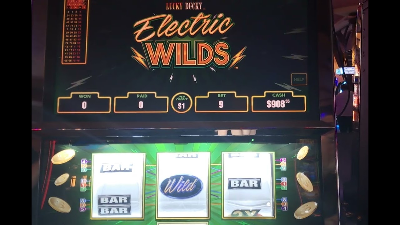 Trying are luck on Lucky Ducky Electric Wilds