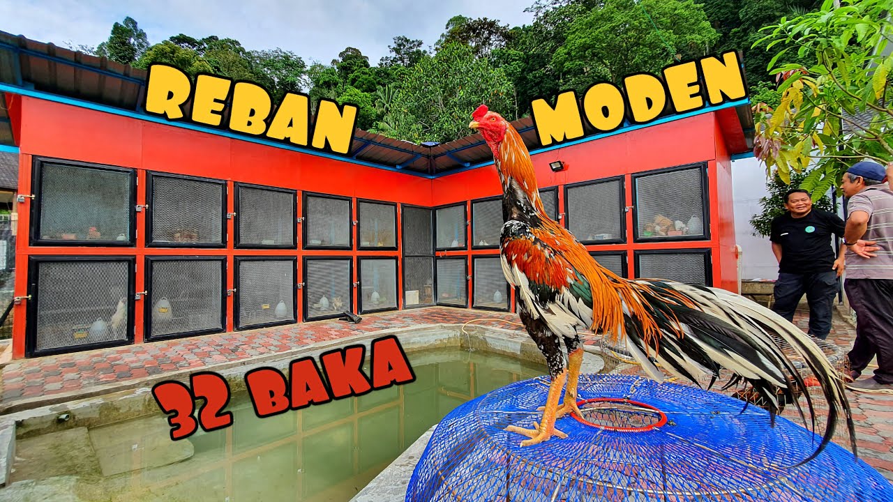 ✅️ BANGLO AYAM MODEN !! BEBAS BAU, AIR BUKIT DAN TENAGA SOLAR
