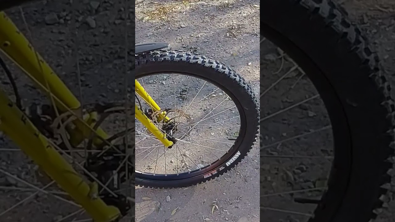 Maxxis Assegai 29x2.6 #maxxis #maxxistires #assegai #покрышка #шина #колесо #велосипед #surlybikes