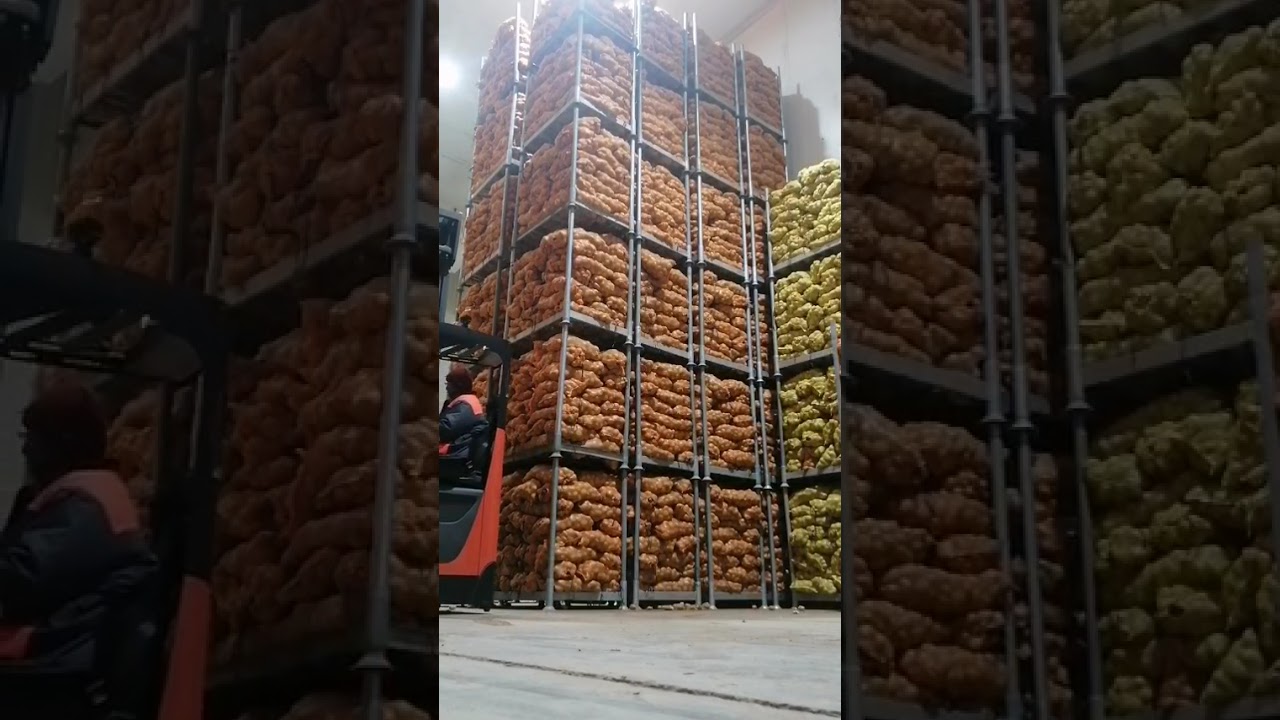 forklifts operator  leha Agricultural gurup cold storage leha 