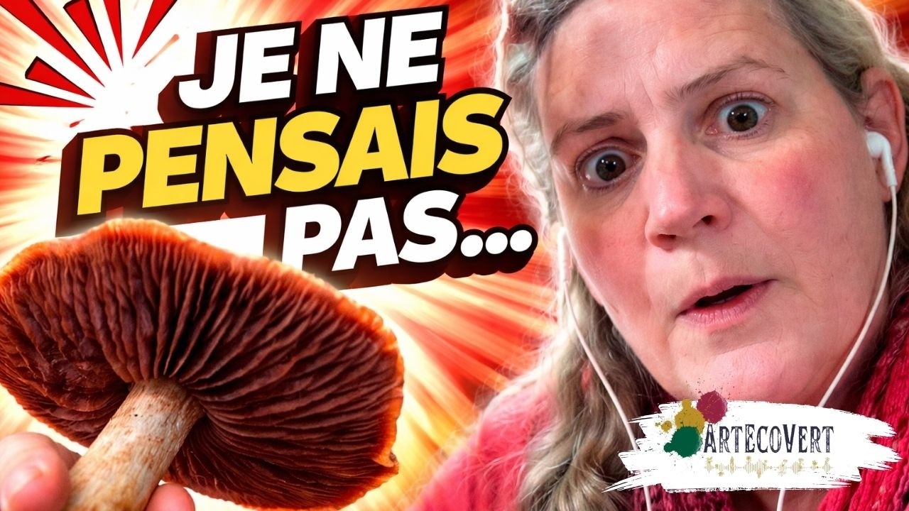 Champignons tinctoriaux : ce qu’on sait vraiment aujourd’hui