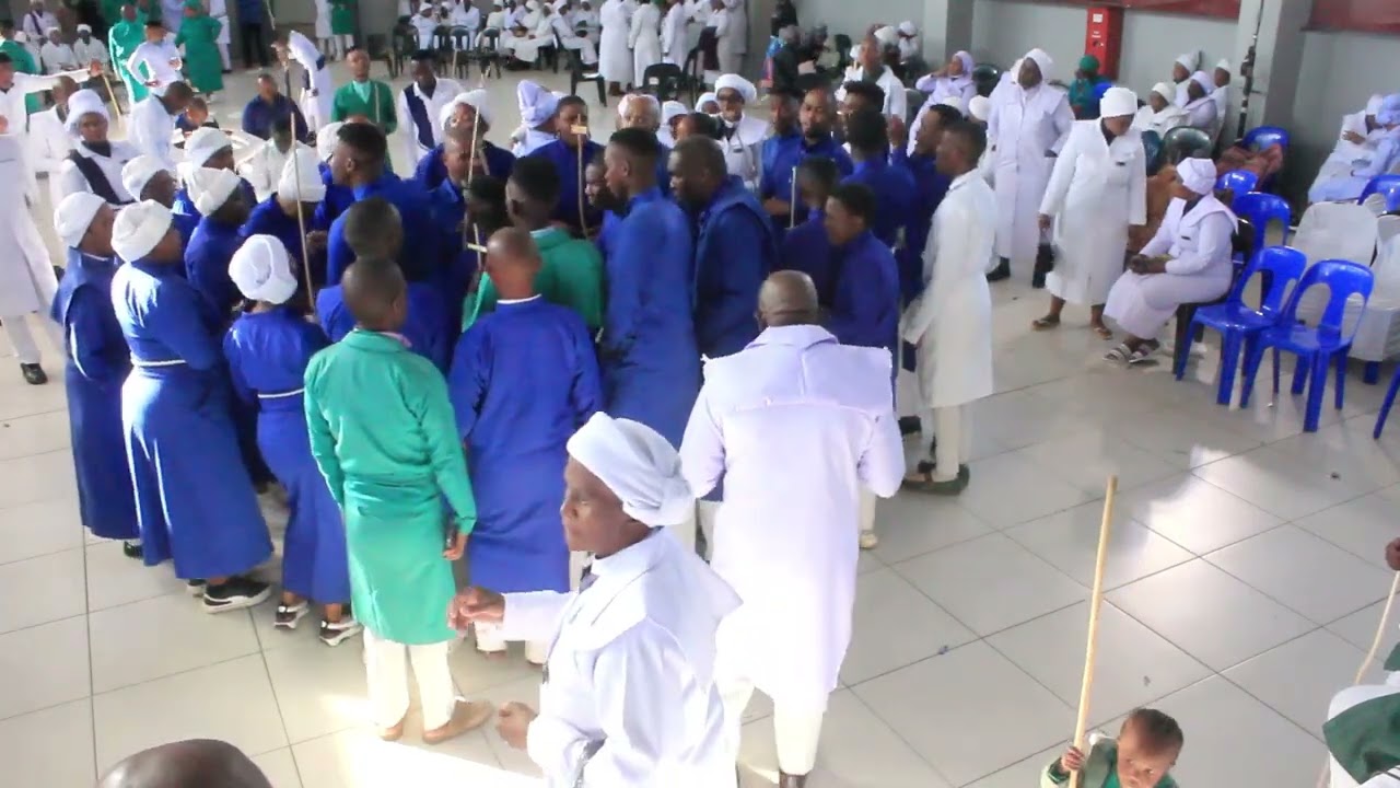 Zion Music Clip 15