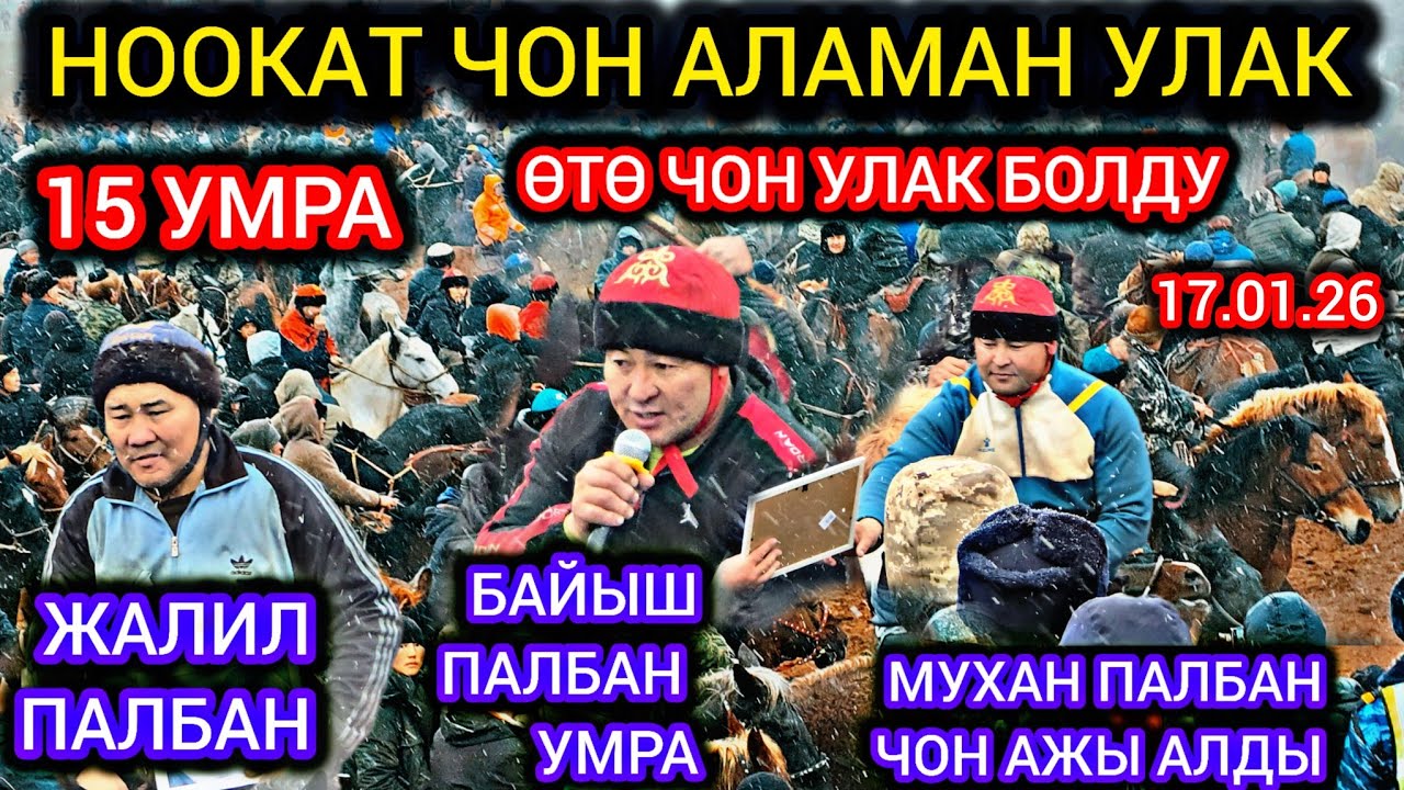 СОРУНДАР ӨТӨ КӨП КЫРГЫЗСТАН ДАГЫ ЭН ЧОН АЛАМАН УЛАК БОЛДУ Ноокат #байкж  